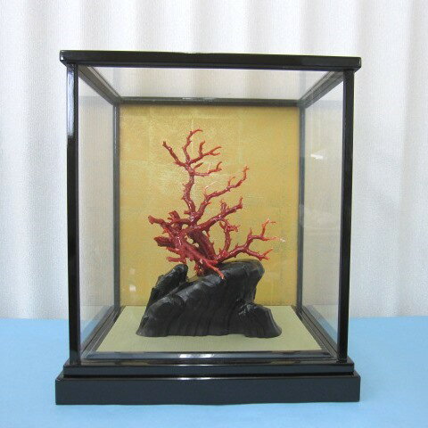 高知沖産血赤珊瑚の拝見 置き物 原木 置物/飾...の紹介画像3