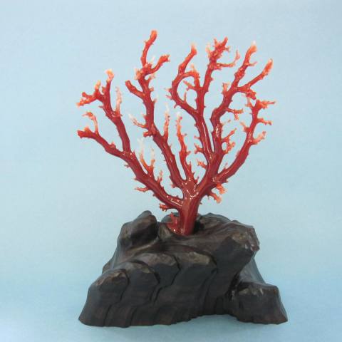 高知沖産血赤珊瑚の拝見 原木 置物 艶出し加工...の紹介画像3
