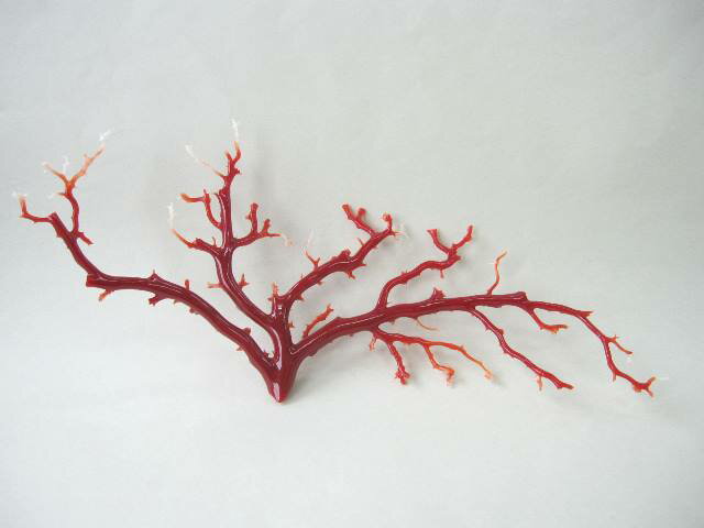 日本・高知沖産血赤珊瑚の 拝見 置き物 原木 置物 飾り 『宝石サンゴ』 珊瑚婚 還暦 誕生日 御祝 厄除 御守 3月の誕生石 ギフト プレゼント 結婚35周年...