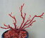 日本・高知産血赤珊瑚 拝見・原木・置物 （艶出し加工済み） 飾り 置き物 盆栽風 『宝石サンゴ』 珊瑚婚 還暦 誕生日 御祝 厄除 御守 3月の誕生石 ギフト プレゼント 結婚35周年 珊瑚職人