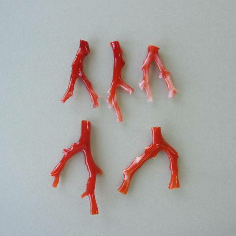 日本・高知産赤珊瑚 枝パーツ (1個) 手作り 『宝石サンゴ』 珊瑚婚 還暦 誕生日 御祝 厄除 御守 3月の誕生石 ギフト プレゼント 結婚35周年 珊瑚職人