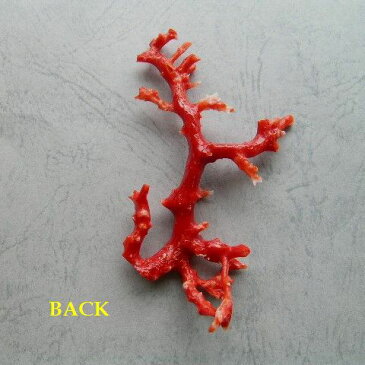 高知産赤珊瑚の枝パーツ手作り/天然サンゴ・さんご送料無料【smtb-KD】