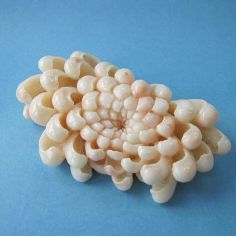 ミッド珊瑚大輪の菊の花の彫りパーツ 天然素材 手作り 宝石サンゴ 珊瑚職人館ー土佐 ミッド珊瑚大輪の菊の花の彫りパーツ 天然素材 手作り 宝石サンゴ 珊瑚職人館ー土佐