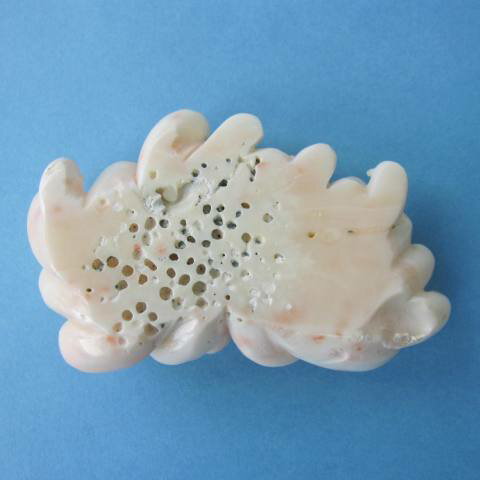 ミッド珊瑚大輪の菊の花の彫りパーツ 天然素材 手作り 宝石サンゴ 珊瑚職人館ー土佐 ミッド珊瑚大輪の菊の花の彫りパーツ 天然素材 手作り 宝石サンゴ 珊瑚職人館ー土佐