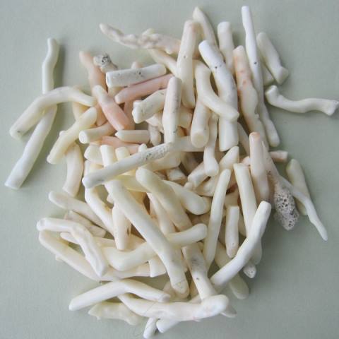 ミッド珊瑚 ナチュラルな枝パーツ. 一袋 (約100g)天然コーラル 『宝石サンゴ』 珊瑚婚 還暦 誕生日 御祝 厄除 御守 3月の誕生石 ギフト プレゼント ...