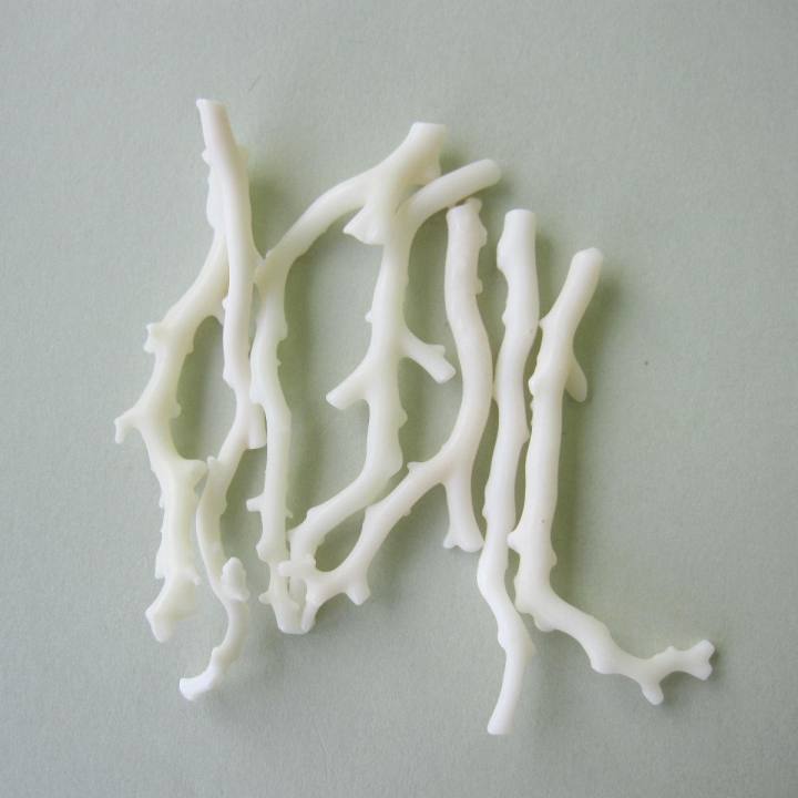 白珊瑚 ナチュラル枝パーツ (1本) 天然コーラル 宝石サンゴ 珊瑚婚 還暦 誕生日 御祝 厄除 御守 3月の誕生石 ギフト プレゼント 結婚35周年 珊瑚職人