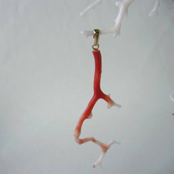 桃珊瑚 ナチュラルな枝 ペンダントトップ 真鍮 天然素材 宝石サンゴ 珊瑚婚 還暦 誕生日 御祝 厄除 御守 3月の誕生石 ギフト プレゼント 結婚35周年 珊...