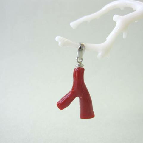 日本・高知産血赤珊瑚 枝のペンダントトップ Pt900 『宝石サンゴ』 珊瑚婚 還暦 誕生日 御祝 厄除 御守 3月の誕生石 ギフト プレゼント 結婚35周年 ...