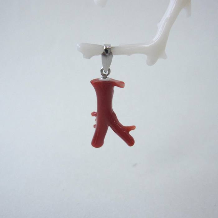 日本 高知産血赤珊瑚 枝のプチペンダントップ Pt900 宝石サンゴ 珊瑚婚 還暦 誕生日 御祝 厄除 御守 3月の誕生石 ギフト プレゼント 結婚35周年 珊...