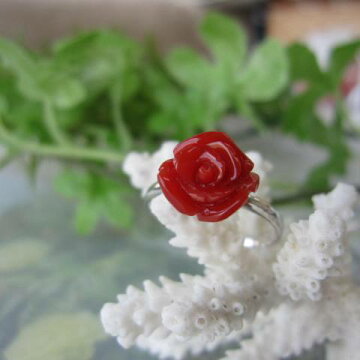 高知産血赤珊瑚の美しい薔薇の花の指輪 9 4 10 3ミリ リング サンゴピアス 在庫処分 K18wg 宝石サンゴ 珊瑚職人館ー土佐 コーラルジュエリー 還暦 New 宅配 希少な真紅のバラ 高知産血赤珊瑚の美しい薔薇の花の指輪 9 4 10 3ミリ リング サンゴピアス 在庫処分 K18wg 宝石サンゴ 珊瑚職人館ー土佐 コーラルジュエリー 還暦 New 宅配 希少な真紅のバラ