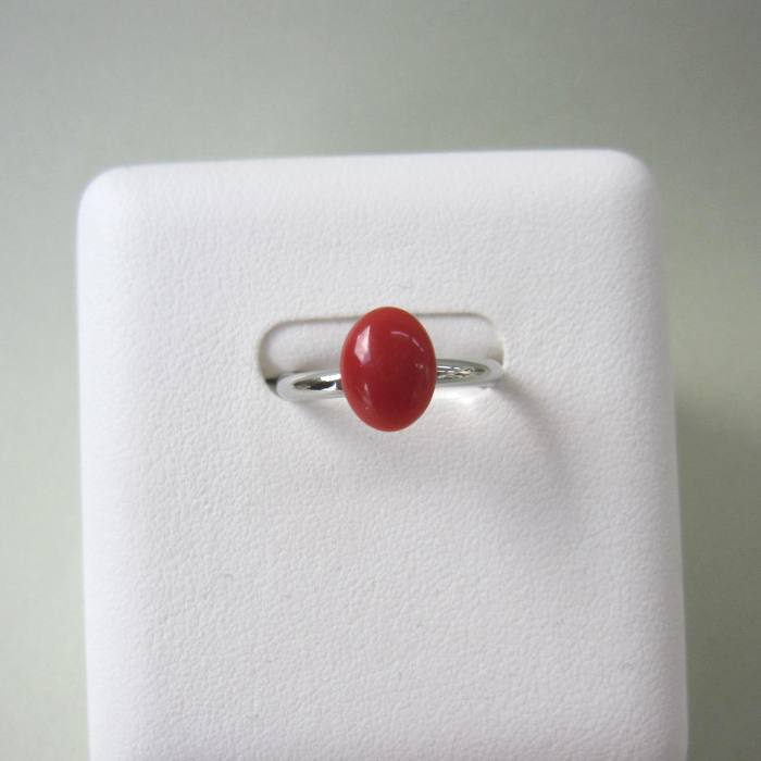 日本高知産赤珊瑚オーバルフリーリン...