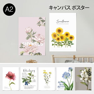 ポスター A2 (キャンバス素材) ボタニカルコレクションVo.2 花 植物 シンプル おしゃれ アートポスター アートプリント フォトポスター サンサンフー