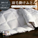 \24h限定:P5倍+15%OFF/羽毛布団 クイーン 掛け布団 羽毛掛け布団 羽毛ふとん ホワイトグースダウン95% 暖かい 軽い 冬 保温 羽毛 掛け布団 ...