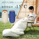 【10%OFFクーポン限定!】寝袋 シュラフ 洗える 封筒型 収納袋付き コンパクト 連結可能 キャンプ アウトドア フード付 軽量 防災 車中泊 春秋用 暖か...