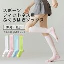 【スーパーSALE !P5+10%OFF】ヨガソックス レディース ロング丈 ピラティス 高弾力 ポリエステル ノンシーム 吸汗速乾 抗菌防臭 室内運動用 全4色 フリーサイズ レディース トゥソックス おしゃれ