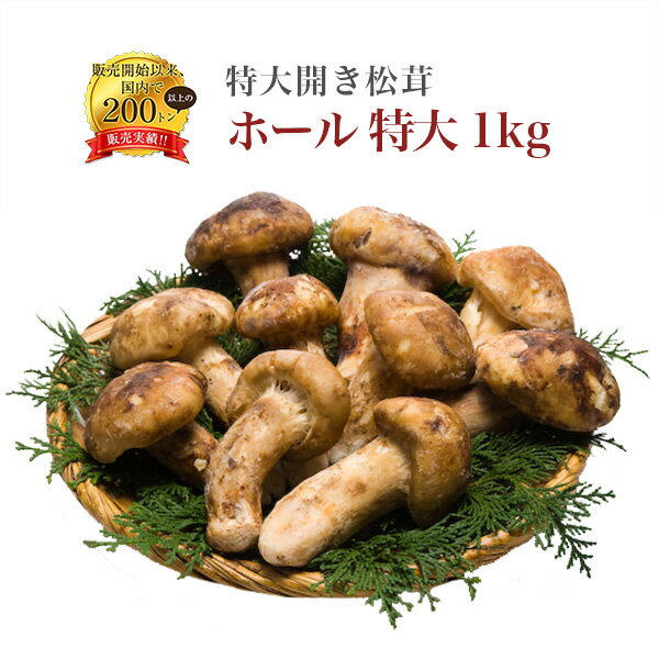 送料無料 冷凍松茸 1kg 中国産 つぼみ松茸 天然もの まつたけ 急速冷凍 すき焼き 茶碗蒸し 松茸御飯