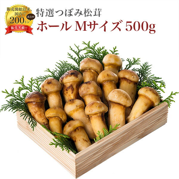 松茸 まつたけ 天然 冷凍 特選つぼみM (7-9cm) ホール 500g (12-16本) 急速冷凍 一級品 シャングリラで採れた天然松茸 国産なら5万円/kg以上 秋 秋の味覚 グルメ おせち 松茸ご飯 すき焼き 土瓶蒸し 茶碗蒸し お試し