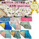 【決算SALE★30%OFF】こたつ布団 あったか こたつ 布団 185×185cm (側寸200×200cm) 正方形 リバーシブル 両面色違い プリント お...