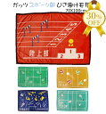 【決算SALE★30%OFF】ひざかけ 膝掛け あったか ふわふわ 毛布 冬 防寒 引退 卒業 部活 チーム 応援グッズ チームグッズ 学校 応援 おそろい ク...