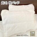 枕パッド 43×63cm 冬 白 ホワイトピローパッド 起毛 あったか 暖か マイクロフアイバー なめらか 柔らか マクラパッド まくらパッド 冬用 洗える まくら セット