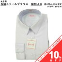 【お買い物マラソン★10%クーポン】スクール ブラウス 女子 角衿 A体 長袖 シャツ スクール用 ホワイト 白 形態安定加工 返品不可 ファッション 学校用 学生用 ギフト 贈り物 中学生 高校生|詳細画像