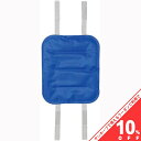 【お買い物マラソン★10%OFFクーポン】アーテック 背中ひんやり冷却ジェルパッド 27708 熱中症 対策 登下校 猛暑 真夏日 暑さ対策 冷却 ジェルパッド リュック ランドセル