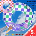 【お買い物マラソン★5%OFFクーポン】浮き輪 格子柄 レッドグリーン 夏 レジャー プール 海