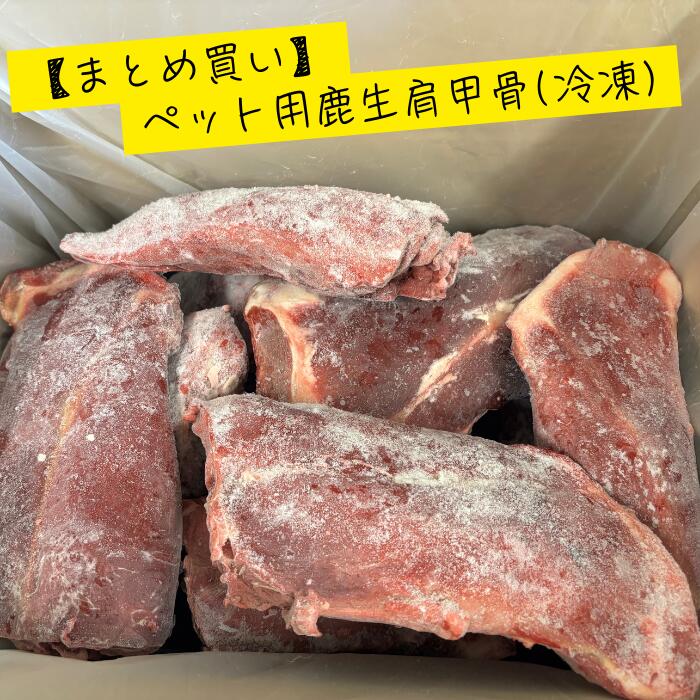【業務用まとめ買い】ペット用鹿肉　丸ごと肉付き肩甲骨　M,L混在 10kg　20kg　生肉　鹿肉　冷凍　ペッ..