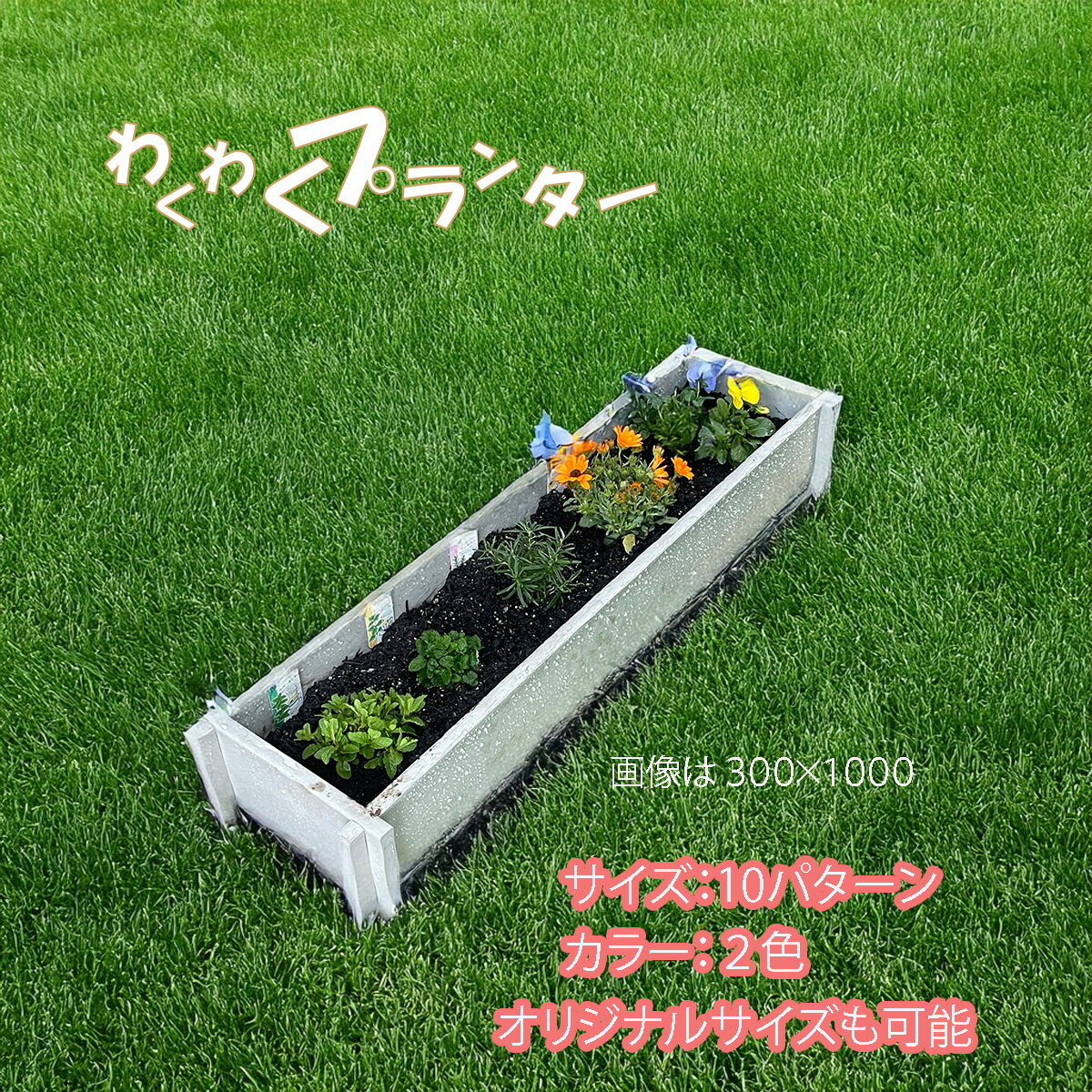 わくわくプランター