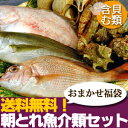 送料無料！さばいて発送可能！【山陰沖産】旬の朝とれ魚介類セット（貝類含む）【月】 産地直送の海鮮福袋！≪送料無料≫【smtb-t】