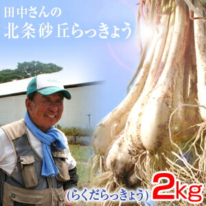 鳥取県産 特別栽培 田中さんの北条砂丘らっきょう2kg（根付き土付き らくだらっきょう 国産） らっ ...