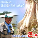 鳥取県産 特別栽培 田中さんの北条砂丘らっきょう2kg（根付き土付き らくだらっきょう 国産） らっきょう 鳥取 お取…