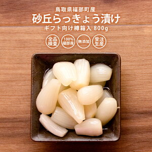 砂丘らっきょう漬け 鳥取県福部町産 ギフト向け樽箱入800g 無添加 国産 送料無料（北海道・沖縄を除く）