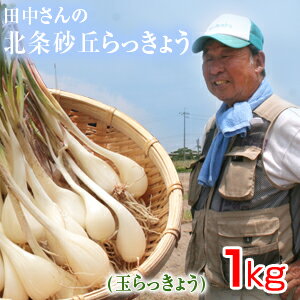 鳥取県産 特別栽培 田中さんの北条砂丘らっきょう1kg（根付き土付き 玉らっきょう 国産） らっきょう 鳥取 お取り寄…