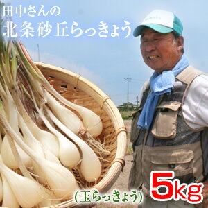 鳥取県産 特別栽培 田中さんの北条砂丘らっきょう5kg（根付き土付き 玉らっきょう 国産） らっきょう 鳥取 お取り寄…