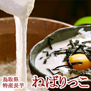 鳥取県北栄町特産 砂丘長いもの「ねばりっこ」約2kg（2〜3本入） ご贈答用 送料無料（北海道・沖縄を除く）のサムネイル