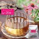 エキナセア茶 20〜50袋入 鳥取県産原料100% エキナセア(プルプレア種)使用 農薬不使用 ティーバッグ 国産 無添加 健康茶 ハーブティー 送料無料 ネコ...