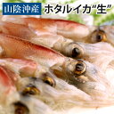 ホタルイカ（生冷凍ほたるいか）約1kg（約250g×4パック）～約2kg（約250g×8パック） 生 生食 刺身 山陰沖産 送料無料…