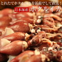 ホタルイカ(浜茹で)約1kg(約250g×4パック)〜 約2kg(約250g×8パック) 日本海産 ほたるいか 蛍烏賊 送料無料(北海道・沖縄を除く)
