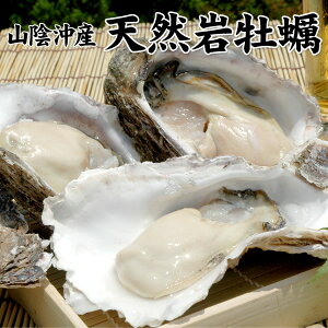 天然岩牡蠣1kgセット（5個前後入） 山陰沖産 送料無料（北海道・沖縄を除く）