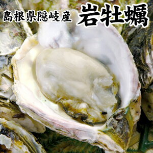 牡蠣 特大 【 3L または 2L サイズ が選べる！ 広島 カキ 冷凍 総重量 1kg （内容量850g）】 かき 牡蛎 むき身 広島県 海鮮 お礼 お祝い ギフト 鍋 お取り寄せ あす楽