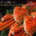 ボイルズワイガニ姿1.2kg（600g前後×2枚セット） かに カニ 蟹 送料無料（北海道・沖縄を除 ...