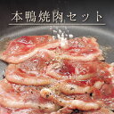 本鴨焼肉セット2人前(焼きそば付き) ギフト 送料無料(北海道・沖縄を除く)