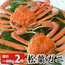 山陰とれたて本舗提供 食品・ドリンク・酒通販専門店ランキング3位 山陰境港産 松葉がに800〜890g(大サイズ)×2枚 未冷凍 送料無料(北海道・沖縄を除く) 山陰とれたて本舗提供 食品・ドリンク・酒通販専門店ランキング3位 山陰境港産 松葉がに800〜890g(大サイズ)×2枚 未冷凍 送料無料(北海道・沖縄を除く)