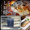 お中元 ギフト 氷温熟成 しお鯖ギフトセット 天然天日塩使用 贈答用 甘塩さば 切身 惣菜 冷凍 真空パック 個包装 海鮮 魚 ギフト プレゼント 送料無料(北...
