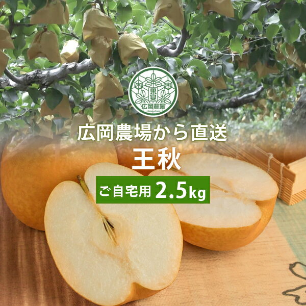 広岡農場の王秋梨(おうしゅうなし)2.5kg詰(3〜5玉入) 鳥取県産 梨 なし 訳あり(ご自宅用) 送料無料(北海道・沖縄を除く)