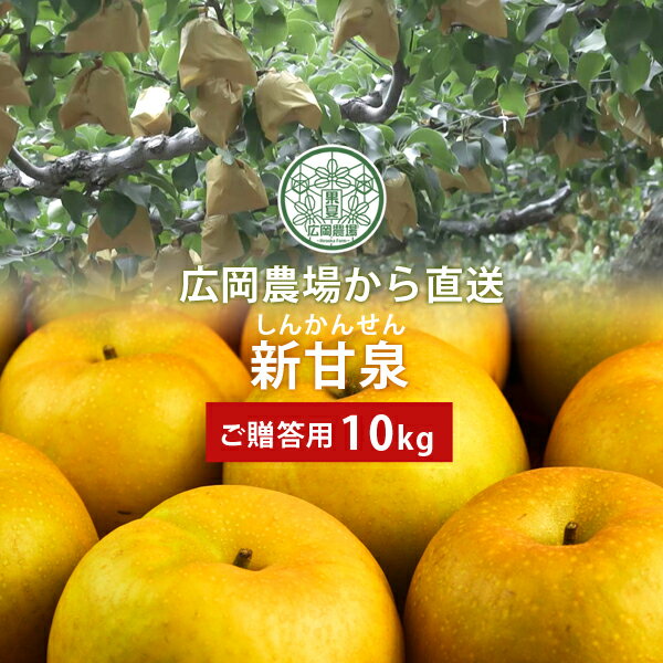 一度食べたら忘れられない 濃厚な甘み 広岡農場の新甘泉 しんかんせん 梨 10kg詰 16~32玉入 鳥取県産 赤秀 ご贈答用 送料無料 北海道 沖縄を除く 超目玉 一度食べたら忘れられない 濃厚な甘み 広岡農場の新甘泉 しんかんせん 梨 10kg詰 16~32玉入 鳥取県産 赤秀 ご贈答用 送料無料 北海道 沖縄を除く 超目玉