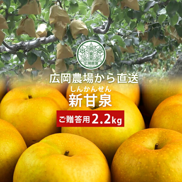 広岡農場の新甘泉（しんかんせん） 2.2kg詰（3〜6玉入） 鳥取県産 梨 なし 新甘泉梨 2025 赤秀（ご贈答用） 送料無料（北海道・沖縄を..