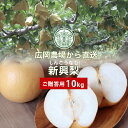 広岡農場の新興(しんこう)梨 10kg詰(16〜24玉入) 鳥取県産 なし 赤秀(ご贈答用) 送料無料(北海道・沖縄を除く)