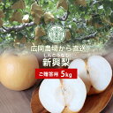 広岡農場の新興(しんこう)梨 5kg詰(8〜12玉入) 鳥取県産 なし 赤秀(ご贈答用) 送料無料(北海道・沖縄を除く)